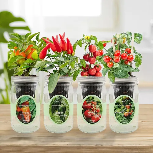 Vista 3 de Kit de cultivo de hierbas hidropónicas, tarro de masón de riego automático, kit de inicio de jardín de hierbas para interiores, cultiva 4 tipos