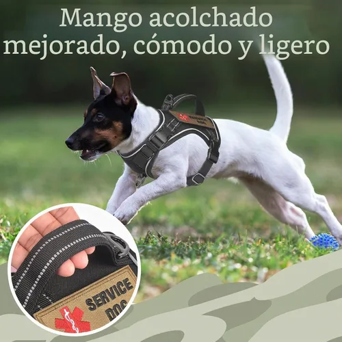 Vista 3 de Arnés táctico XS para perro, chaleco de servicio militar para perro con mango vertical, chaleco para cachorros pequeños sin tirones para Negro