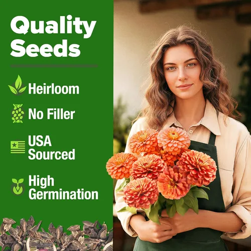 Vista 58 de HOME GROWN Semillas de Hollyhock de doble mezcla de Chater, 200 semillas