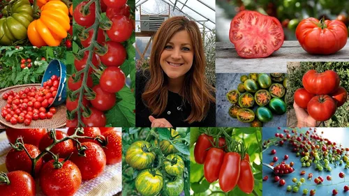 Vista 7 de Espoma ¡Tomate concentrado orgánico de 8 onzas! Alimento vegetal - Fertilizante vegetal para todo tipo de tomates y otras verduras. Para jardinería