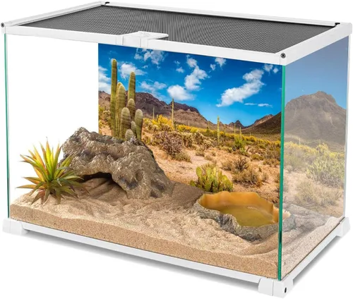 Vista 3 de AWERT Vinilo de fondo de hábitat de reptiles de 24 x 12 pulgadas, cielo azul, oasis, cactus y terrario del desierto