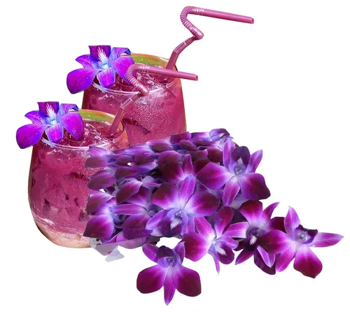 Vista 12 de Miami Fresh Orchid Flower OrchidClub USA Sunne Tropical Cabeza de floración suelta DIY Lei comida bebida decoración púrpura (Queen Purple Sonia 50)