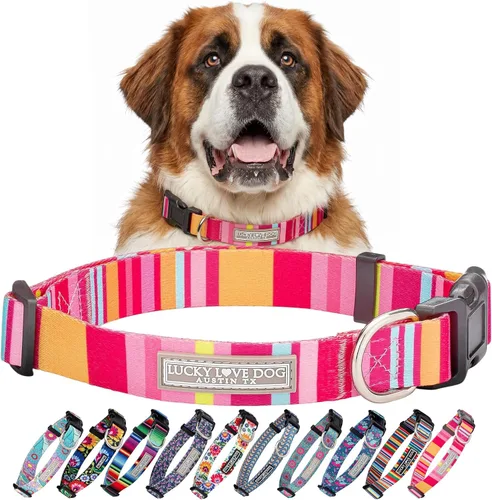 Vista 76 de Lucky Love Dog - Collar para perras pequeñas, diseño Blackbird de estampado alegre con flores de primavera y verano, talla XS Collar Blackbird