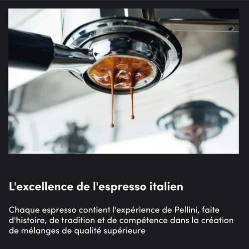 Vista 4 de Pellini Decaffeinato Naturale, descafeinado, 0.18 onzas