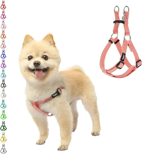 Vista 67 de Pupteck - Arnés para perros sin jalar, suave, ajustable, de nailon, talla básica, chaleco para cachorro, para caminar al aire libre con etiqueta