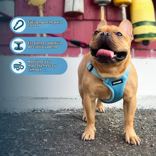 Vista 5 de [Usado] Best Pet Supplies Voyager - Arnés ajustable, transpirable, antitirones, para perros pequeños, medianos y grandes, para caminar, trotar Azul