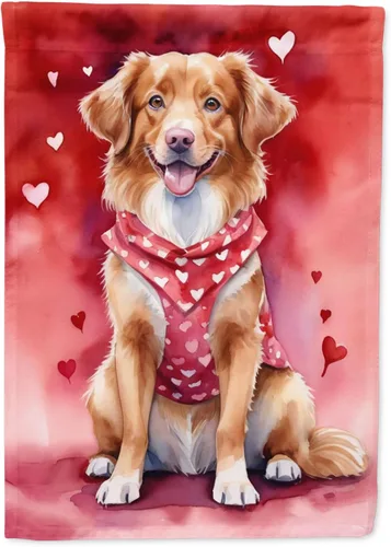 Vista 16 de Caroline's Treasures DAC5252GF Affenpinscher - Bandera de jardín con texto en inglés "My Valentine", bandera decorativa para patio exterior, patio