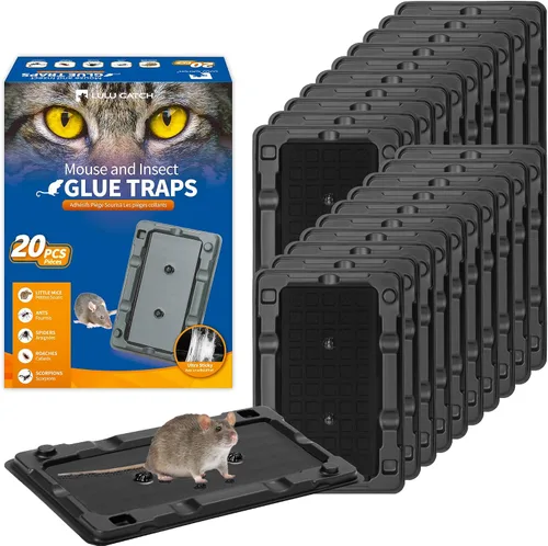 Vista 31 de LULUCATCH, trampas para ratones, 6 unidades de trampas grandes de pegamento para interiores para el hogar, tablas de pegamento a granel pre-cebadas