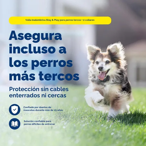 Vista 2 de PetSafe Stay & Play - Valla inalámbrica para 2 perros obstinados - Sistema inalámbrico de contención de mascotas más seguro de Estados Unidos