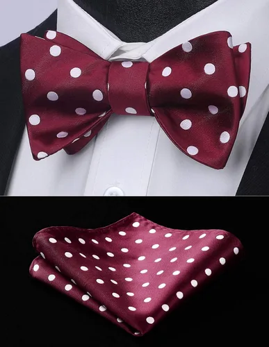 Vista 125 de HISDERN Pajaritas para hombre, diseño de lunares, corbatín y bolsillo cuadrado, clásico, esmoquin de negocios, boda, pajaritas, pañuelo