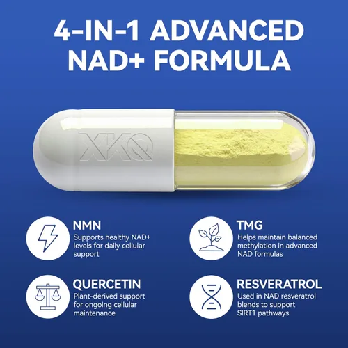 Vista 8 de XKQ Suplemento NAD+ de 910 mg, 60 porciones, toma 2 al día Ribosida de nicotinamida para un envejecimiento saludable, apoya la energía celular