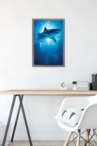 Vista 6 de Trends International Póster de pared de tiburón, 14.6 x 22.4 in, versión enmarcada de madera de granero