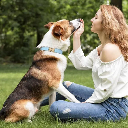 Vista 2 de Collares para perros personalizados de PET ARTIST, collar para perro grabado personalizado con etiqueta de nombre silenciosa, hebilla de liberación