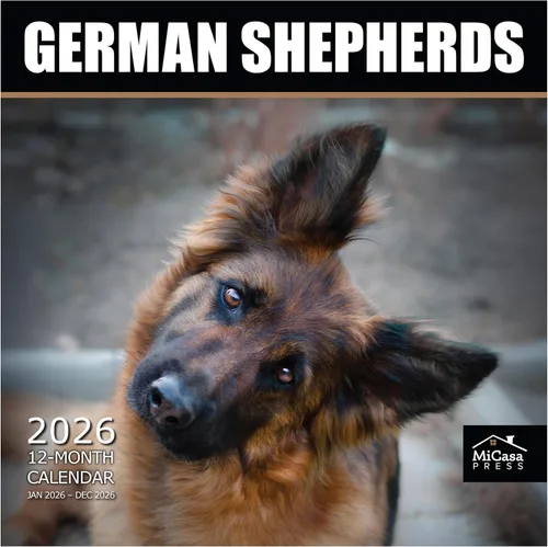 Vista 104 de MICASA PRESS Calendario de pared de Australian Shepherds Aussies 2027 02 - Pastores australianos