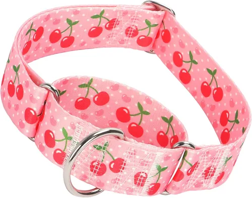 Vista 9 de Collar Martingale para Perro de 1.5 Pulgadas de Ancho - Diseño de Calavera Extra Resistente para Perros Grandes, Collar de Entrenamiento Ajustable