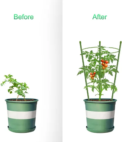 Vista 2 de Jaula de tomate con soporte para plantas de jardín, enrejado mejorado para plantas trepadoras, kits de enrejado para plantas (paquete de 2 - 18)