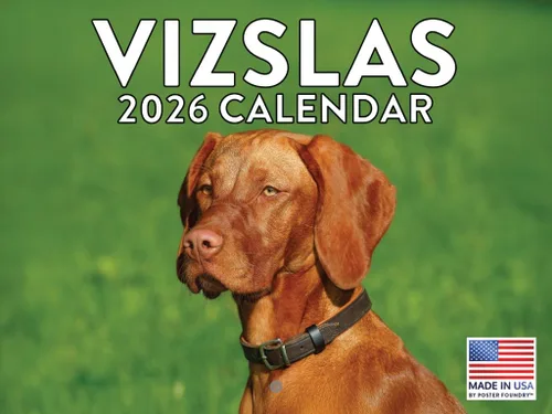 Vista 174 de Calendario mensual de pared Airedale Terrier Dog 2027 rojo (Airedale Terrier)