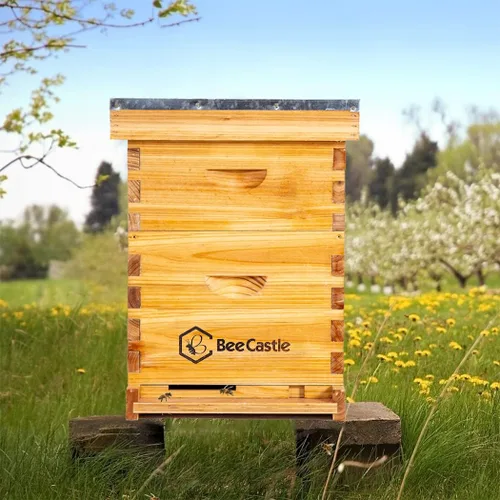 Vista 6 de BeeCastle Colmena de abejas Langstroth de 8 marcos recubierta con 100% cera de abeja, incluye marcos de colmena y bases enceradas