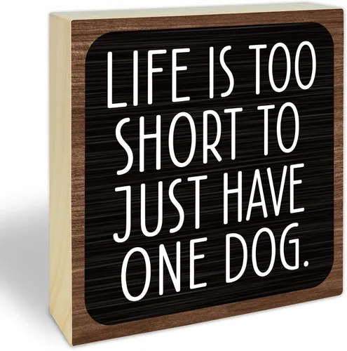 Vista 10 de 4x4 Funny Cat Wooden Block Sign, Spoiled Cats Live Here