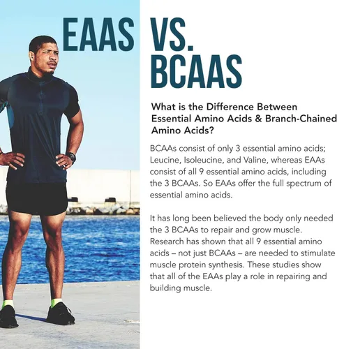 Vista 8 de Suplemento de Aminoácidos Esenciales Orgánicos Plant Aminos (EAAs) y BCAA - 100% a Base de Plantas Crudas, Vegano - Todos los 9 Aminoácidos