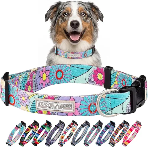 Vista 25 de Lucky Love Dog - Collar para perras pequeñas, diseño Blackbird de estampado alegre con flores de primavera y verano, talla XS Collar Blackbird
