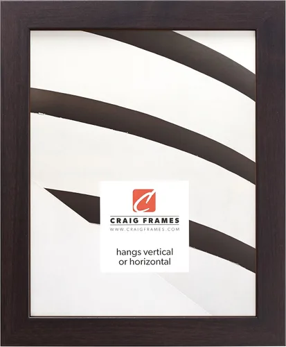 Vista 7 de Craig Frames Essentials, marco moderno de 1 pulgada, 19 x 25 pulgadas, color negro 646bk Negro
