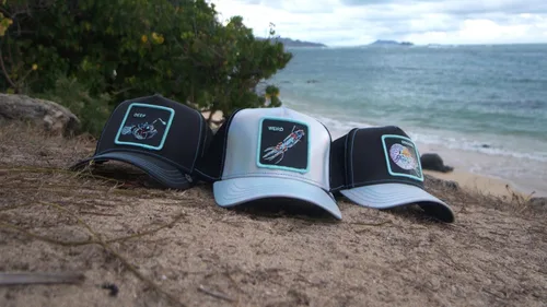 Vista 10 de Goorin Bros. The Farm Deep Sea Collection - Gorra unisex para camionero