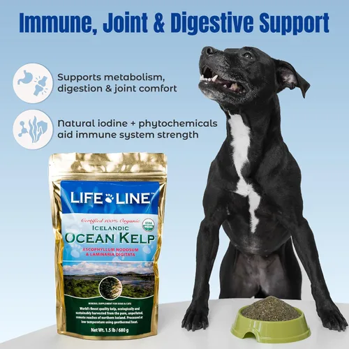 Vista 4 de Life Line - Suplemento orgánico de algas oceánicas para perros, gatos, caballos y ganado Fuente natural de yodo para la piel, pelaje brillante