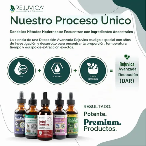 Vista 9 de LymphoRight - Suplemento de apoyo linfático - Equinácea y saúco y vital