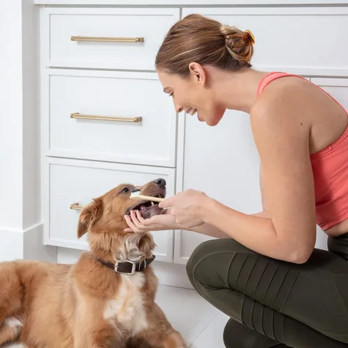 Vista 4 de Cepillo de dientes para perros y gatos, bambú de dos caras