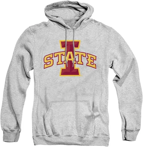 Vista 34 de Distressed College Primary Logo Adult Pullover Hoodie Collection 1 Universidad Estatal de Albany
