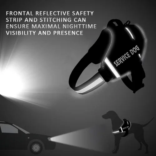 Vista 5 de Juego de correa de arnés para perro personalizado sin tirones con número de teléfono con nombre personalizado Reflective Breathable Heavy Duty