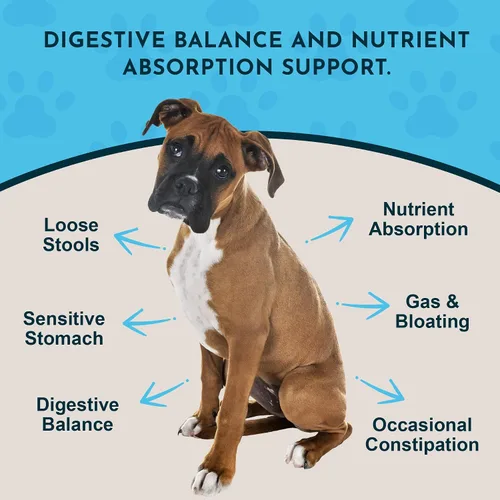 Vista 2 de Animal Essentials Enzimas vegetales y probióticos - Suplemento de absorción de nutrientes digestivos para perros y gatos, mezcla de enzimas