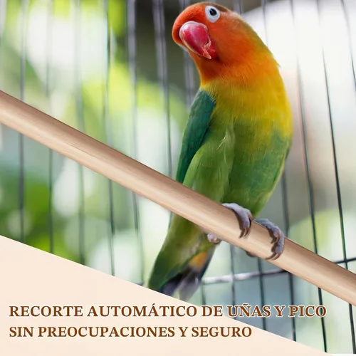 Vista 5 de Sintuff 8 perchas para pájaros para accesorios de jaulas, varillas de madera de repuesto con ranuras de doble cabeza, soporte de madera natural