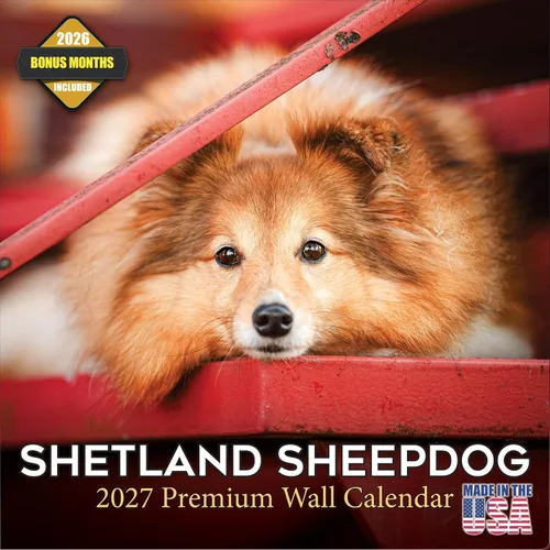 Vista 111 de Calendario de Lebrel Afgano 2025 2026, calendario mensual de pared de raza canina, 12" x 18" abierto, papel grueso sin traspaso, ideal para regalo