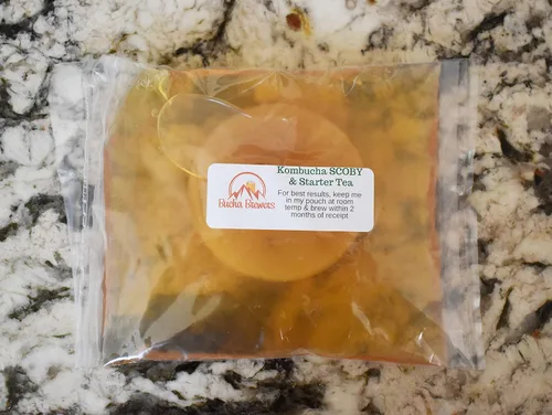 Vista 2 de Bucha Brewers Kombucha SCOBY & Starter Tea - Té fuerte de inicio de 8 onzas y kombucha SCOBY vivo cultivado en mezcla de azúcar orgánico y té negro