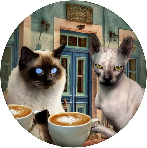 Vista 3 de Gato siamés sin pelo esfinge gatito gatos beber café PopSockets intercambiables PopGrip