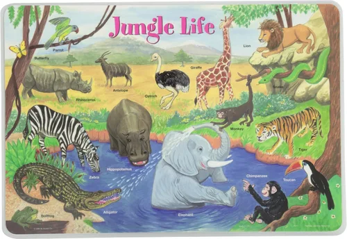 Vista 4 de Painless Learning Popular Birds - Mantel individual, tamaño grande