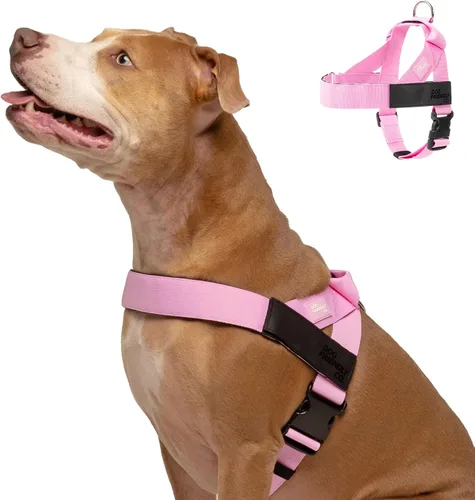 Vista 16 de Arnés para perro Dog Friendly Co Correas resistentes a rozaduras, cuello y pecho ajustables, y anillo en D resistente Resistente, cómodo, fácil