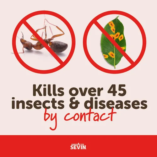 Vista 6 de Sevin 100547227 Polvo de azufre 1.25 libras, etiqueta blanca Control 2 en 1 de enfermedades e insectos, polvo o aerosol, para rosas, cítricos