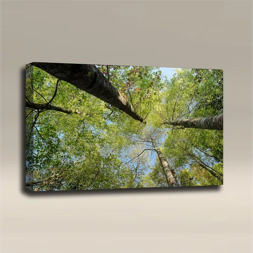 Vista 4 de Panel de arte acústico para pared: temas de fotos de la naturaleza - Tamaño: 36"x24"x2