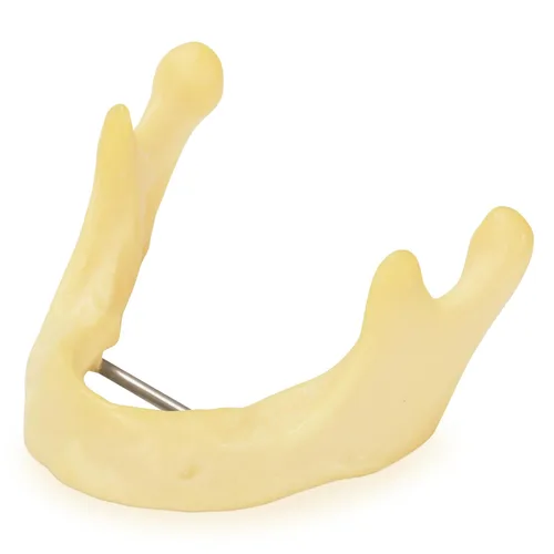 Vista 12 de Ultrassist Entrenamiento de implantes dentales Modelo edéntulo maxilar, maxilar simplificado con tejido suave, gran diente de entrenamiento