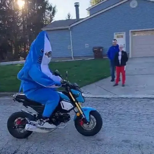Vista 7 de Disfraz de tiburón de bebé para adultos disfraz de cosplay de Halloween