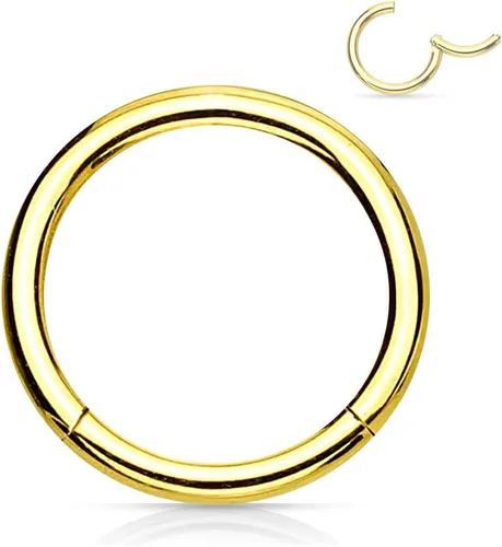 Vista 51 de Forbidden Body Jewelry - Piercing para la nariz de acero quirúrgico 316L con bisagra, 14G, 16G, 18G, diámetro de 15/64, 5/16, 25/64, 15/32 pulgadas