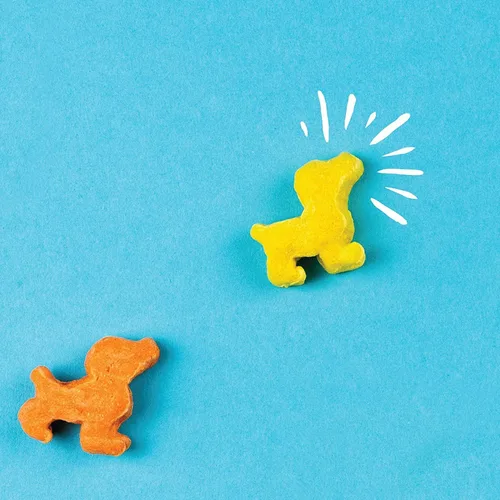 Vista 5 de Pup Corn Plus - Golosinas para perros infladas con prebióticos y probióticos - Pollo y queso cheddar (24 onzas) - Fabricado en Estados Unidos