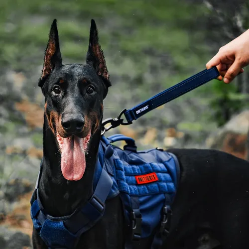 Vista 6 de OneTigris Bolt - Correa corta de tráfico para perros pequeños, medianos y grandes (azul, S)