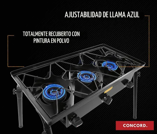 Vista 4 de CONCORD quemador triple c/regulador