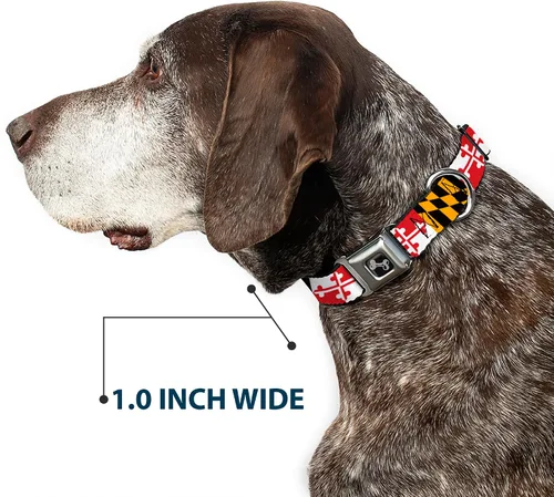 Vista 6 de Collar de perro hebilla de cinturón de seguridad Maryland Banderas 9 a 15 pulgadas 1.0 pulgadas de ancho