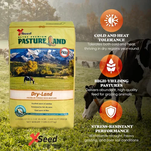 Vista 6 de X-Seed Mezcla de semillas de forraje de tierras secas con Micro-Boost – Festuca alta hierba huerta de riegrass, pasto libre de endófitos para una