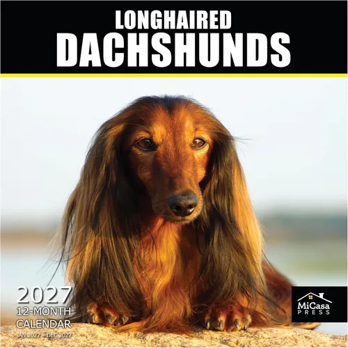 Vista 86 de MICASA PRESS Calendario de pared de Australian Shepherds Aussies 2027 02 - Pastores australianos